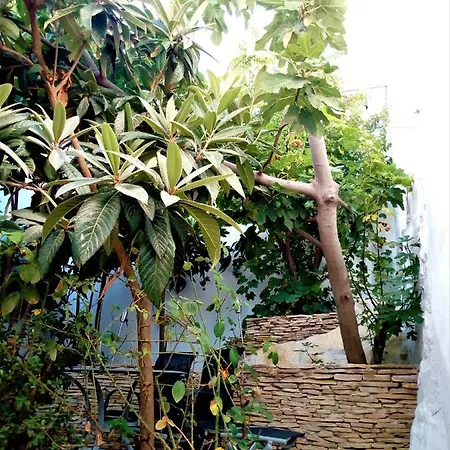 Casa Zofia * سيلفيس